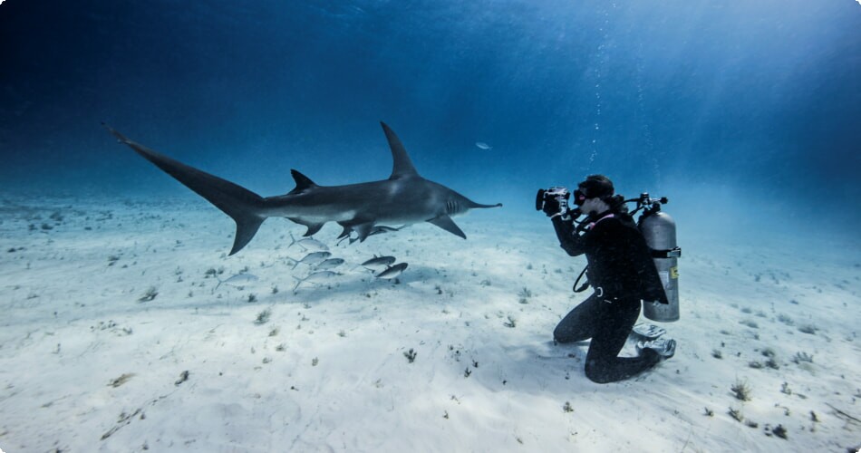 Unterwasserfotografie