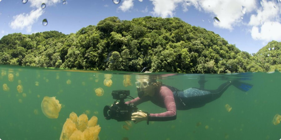 Palau's Beachfront Wonderland