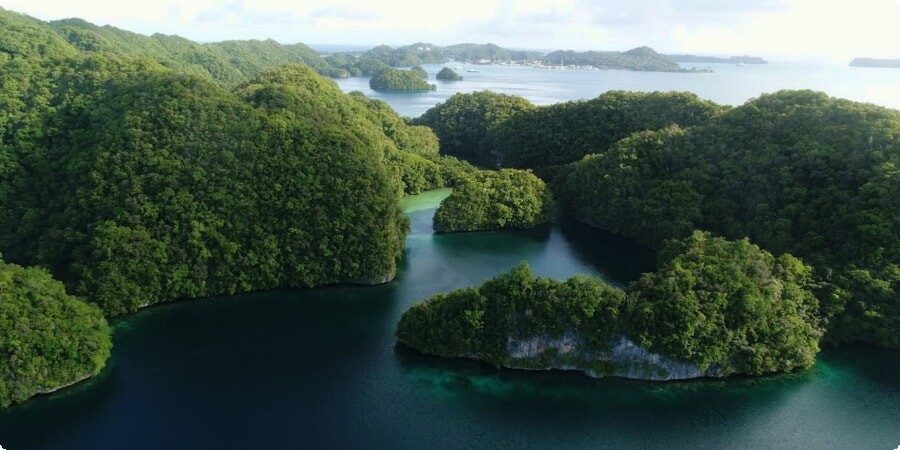 Palau's Beachfront Wonderland