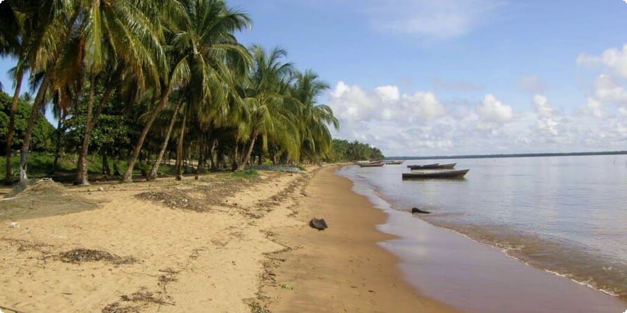 Suriname's Coastal Havens