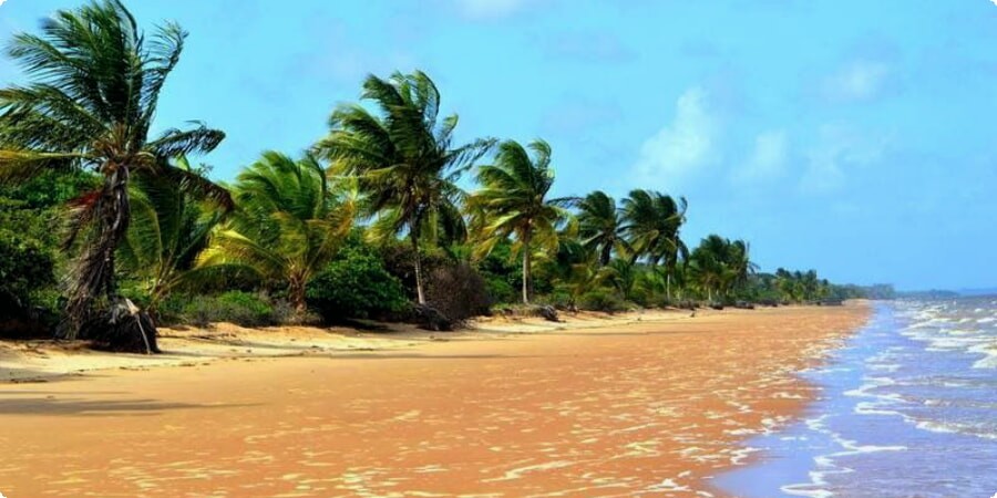 Suriname's Coastal Havens