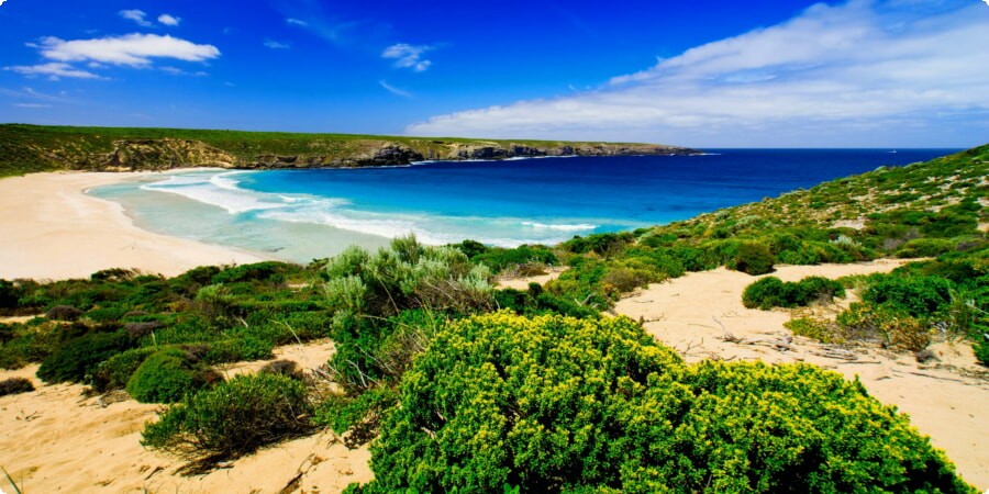 Discovering Kangaroo Island's Best Beaches