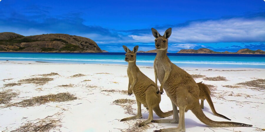 Opdag Kangaroo Islands bedste strande: Din weekendrejse