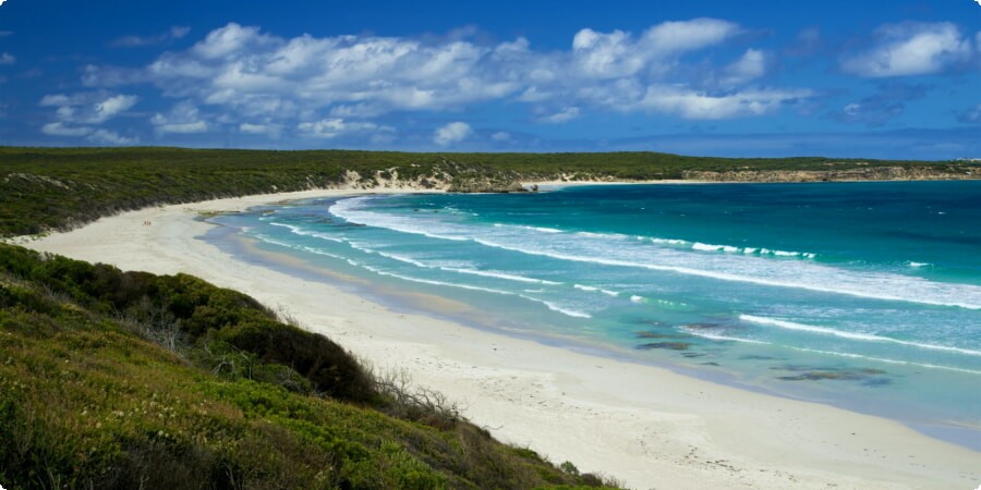 Discovering Kangaroo Island's Best Beaches