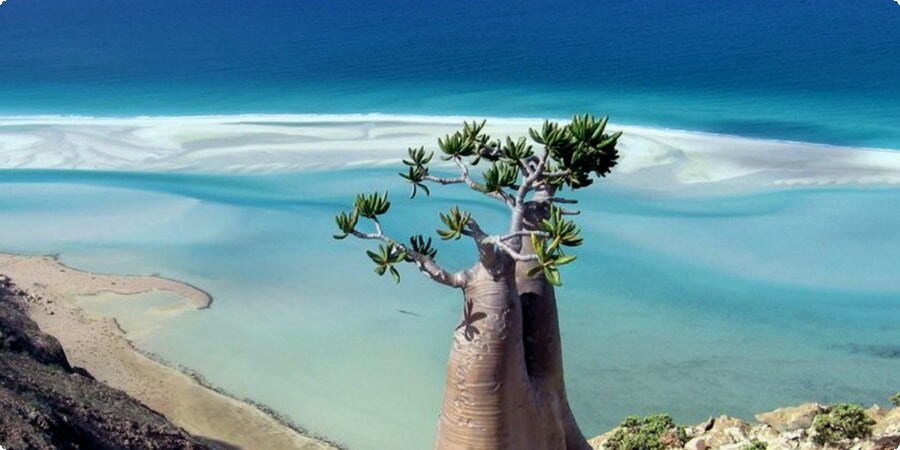 アデンからソコトラ島まで：イエメンの多様な海岸の驚異