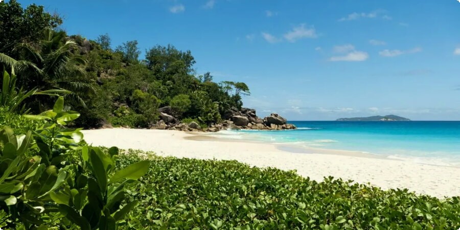 Praslin's Beach Paradise