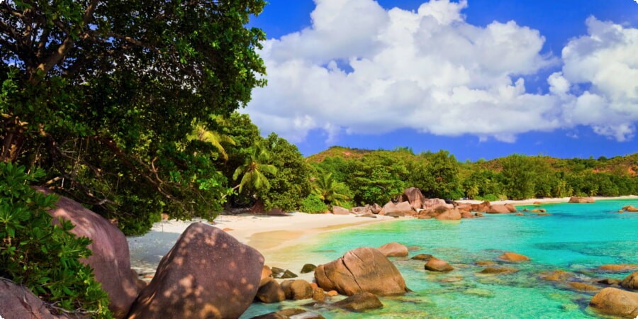 Praslin's Beach Paradise