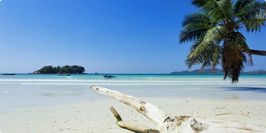 Praslin's Beach Paradise