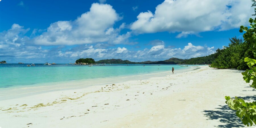 Praslin's Beach Paradise