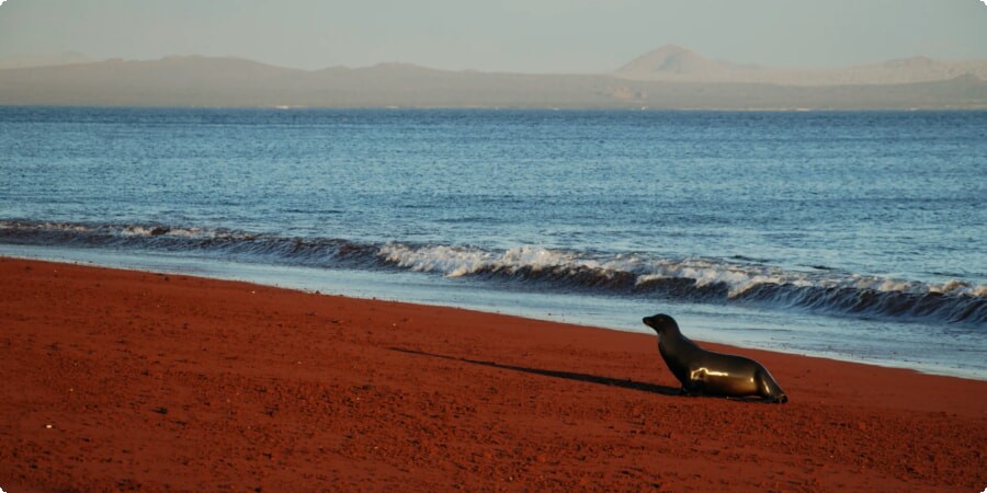 Rábida Island's Red Sand Beach