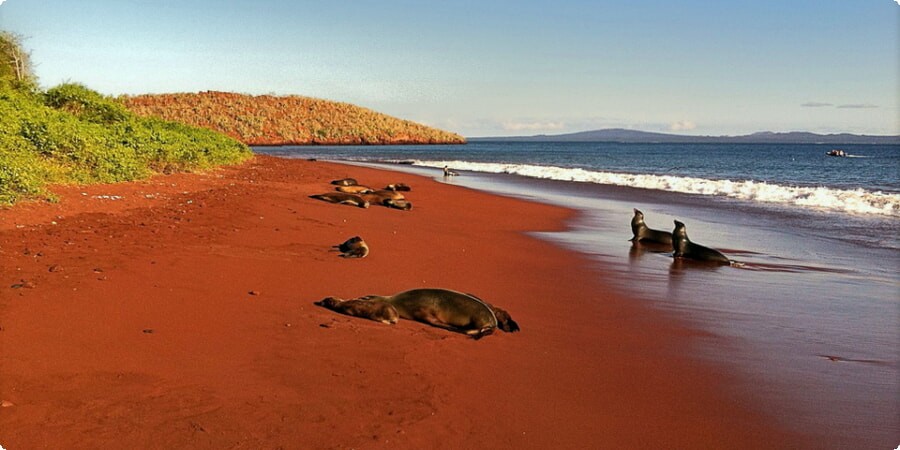 Rábida Island's Red Sand Beach