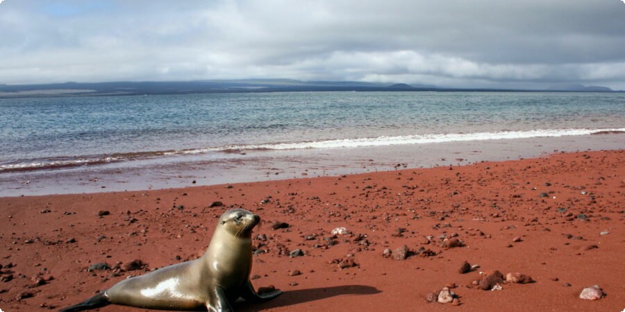 Rábida Island's Red Sand Beach