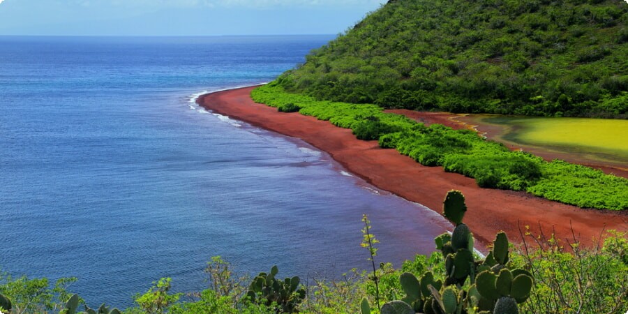 Rábida Island's Red Sand Beach