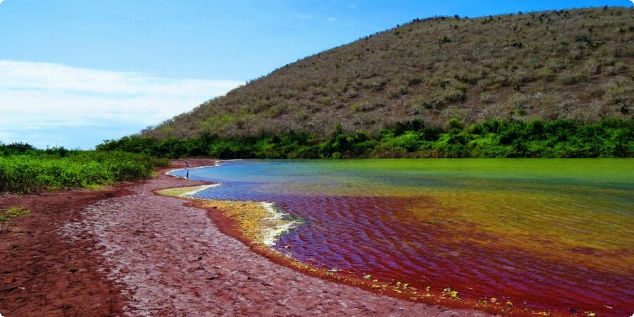 Rábida Island's Red Sand Beach