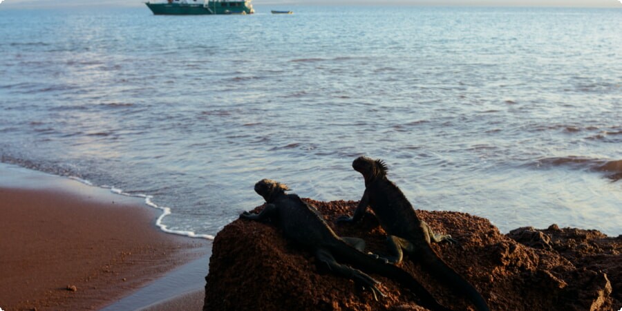 Rábida Island's Red Sand Beach