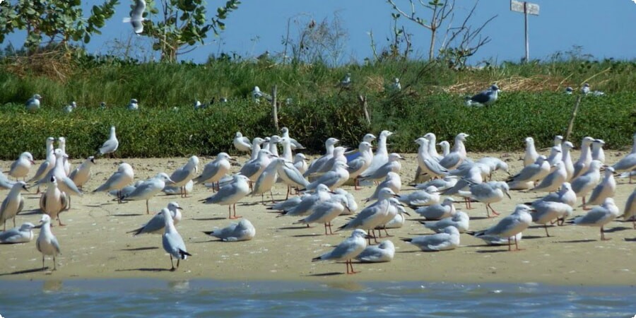 Senegal's Coastal Highlights