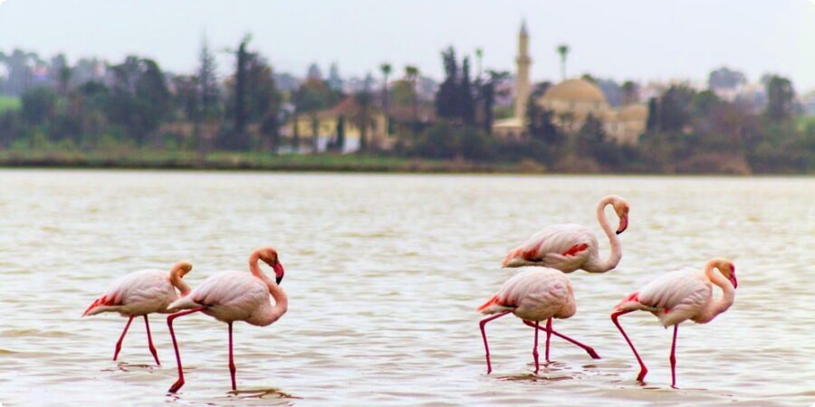 Larnaca’s Top Relaxing Beaches