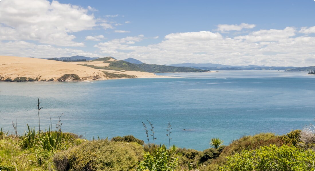 Hokianga Harbour: Quand la terre rencontre la mer