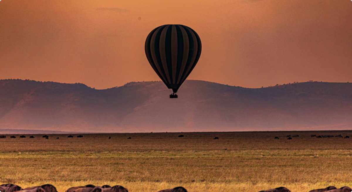 Hot Air Balloon Safari Hot Air Balloon Safari