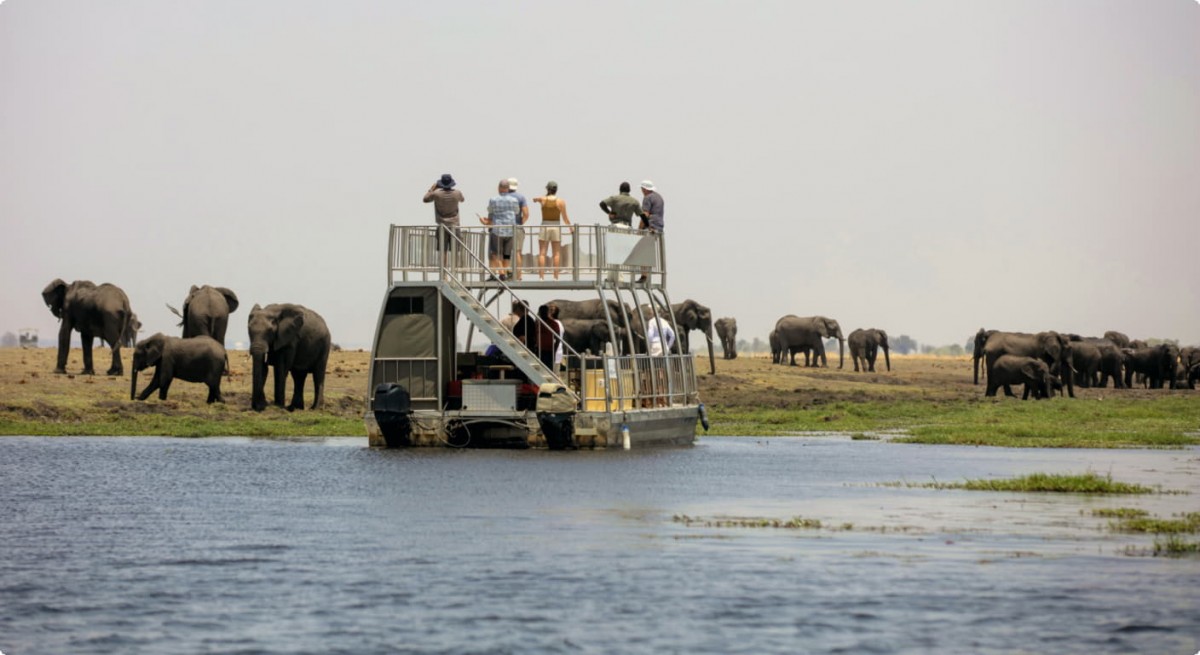 Boat Safari Boat Safari