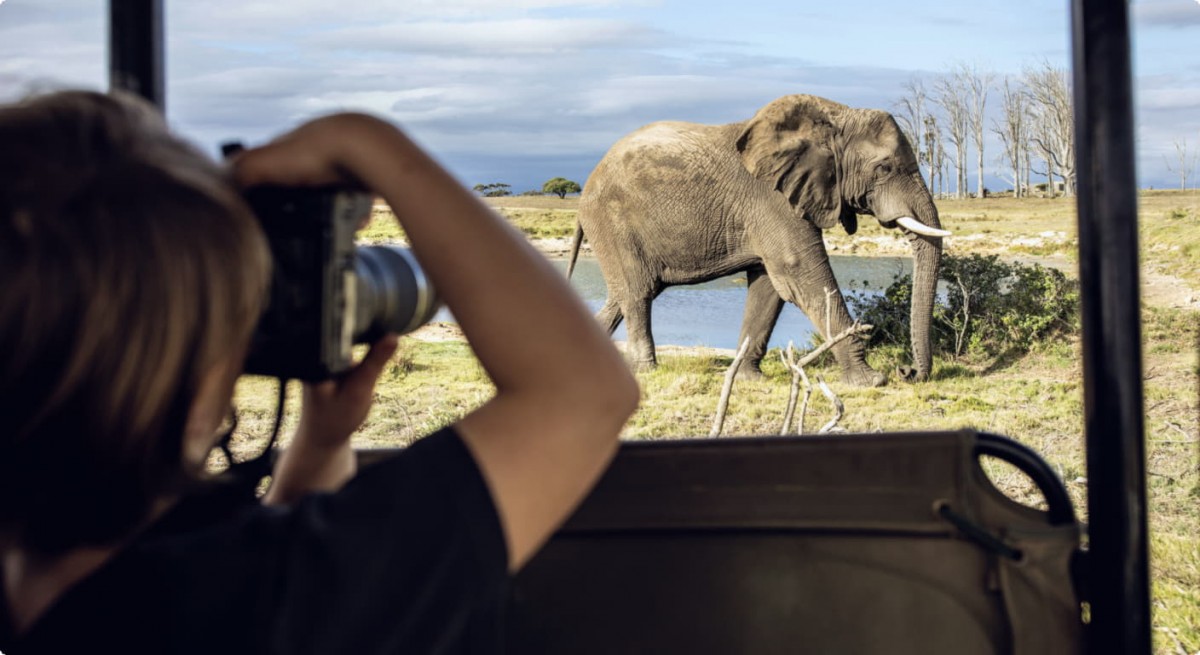 Safari trips in comparison: variants, differences, tips