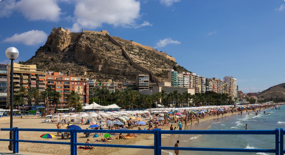 Alicante Alicante