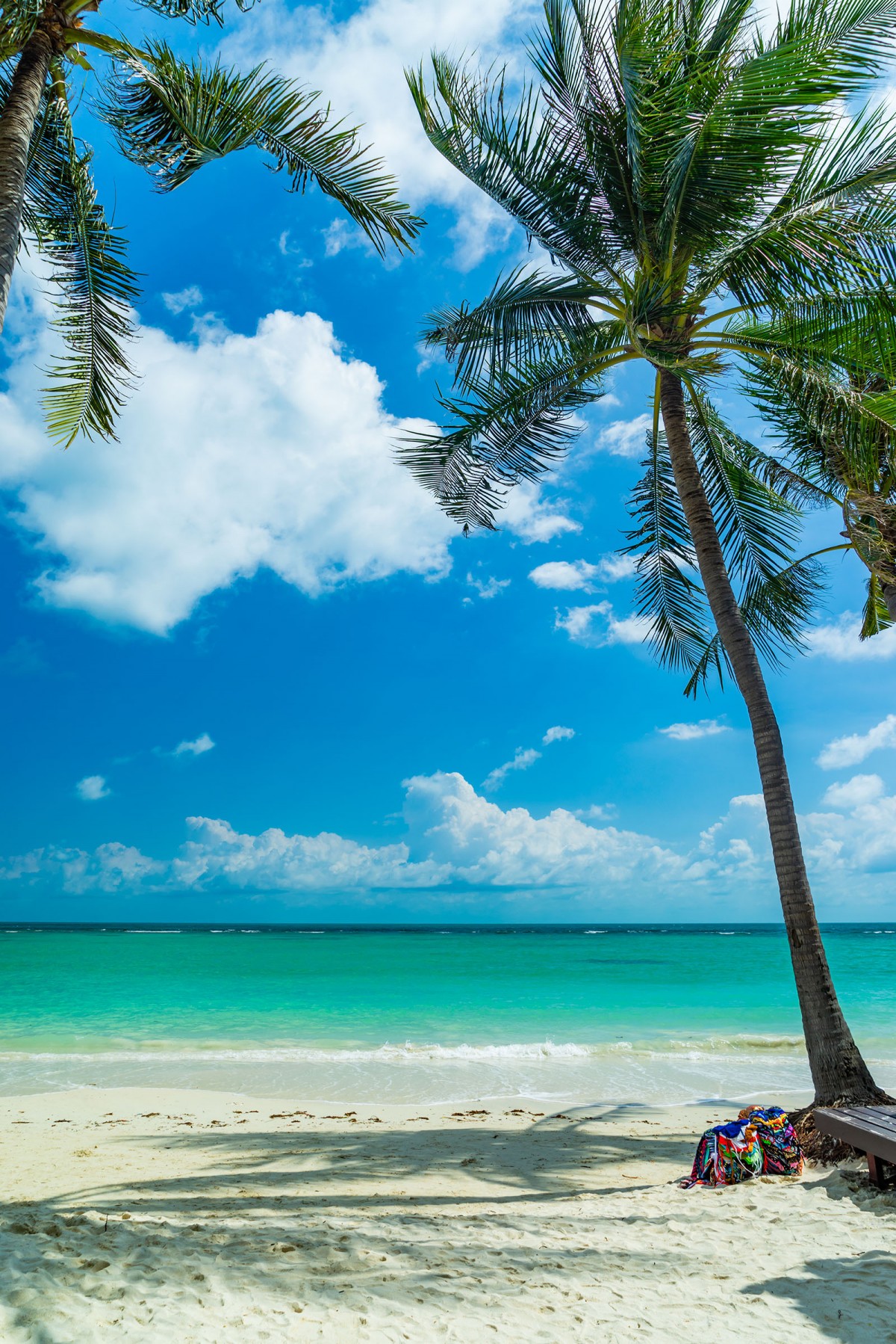 Discover Paradise at Koh Samui's Chaweng Beach Discover Paradise at Koh Samui's Chaweng Beach