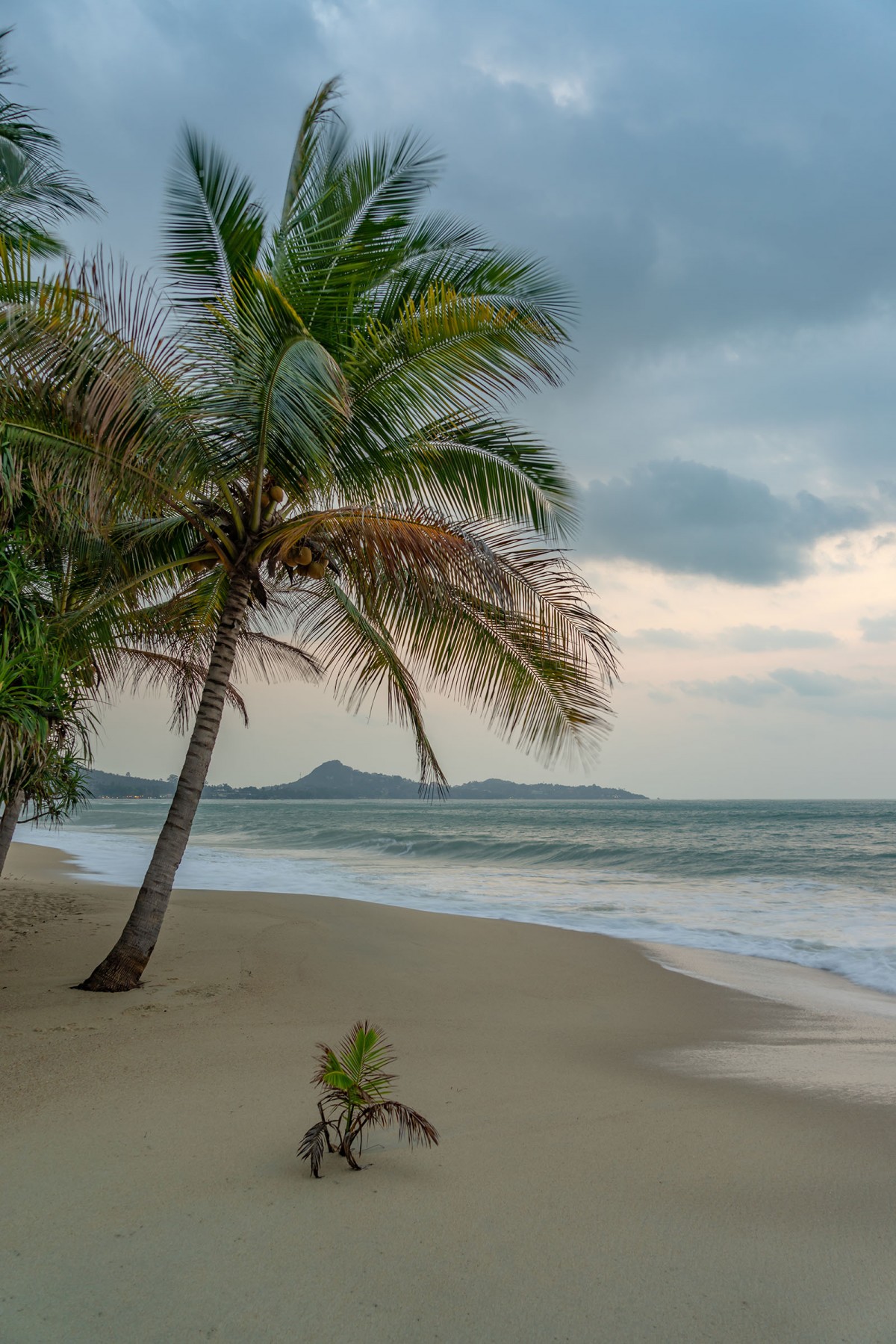 Lamai: Koh Samui's Hidden Gem
