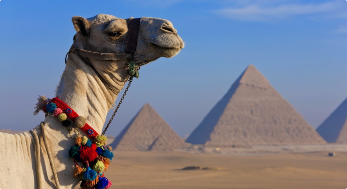 The Pyramids of Giza The Pyramids of Giza