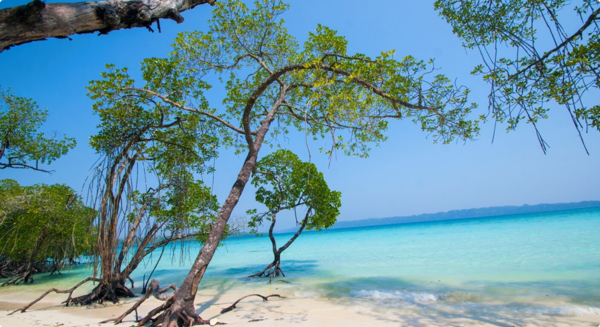 Havelock Island Havelock Island
