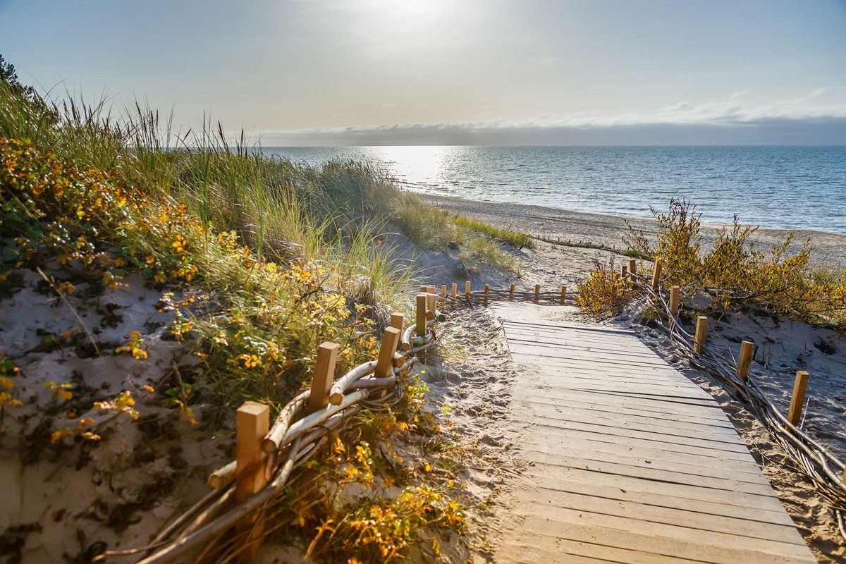 環境に優しいビーチタウン