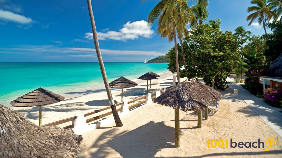 Las Mejores Playas De Antigua Barbuda