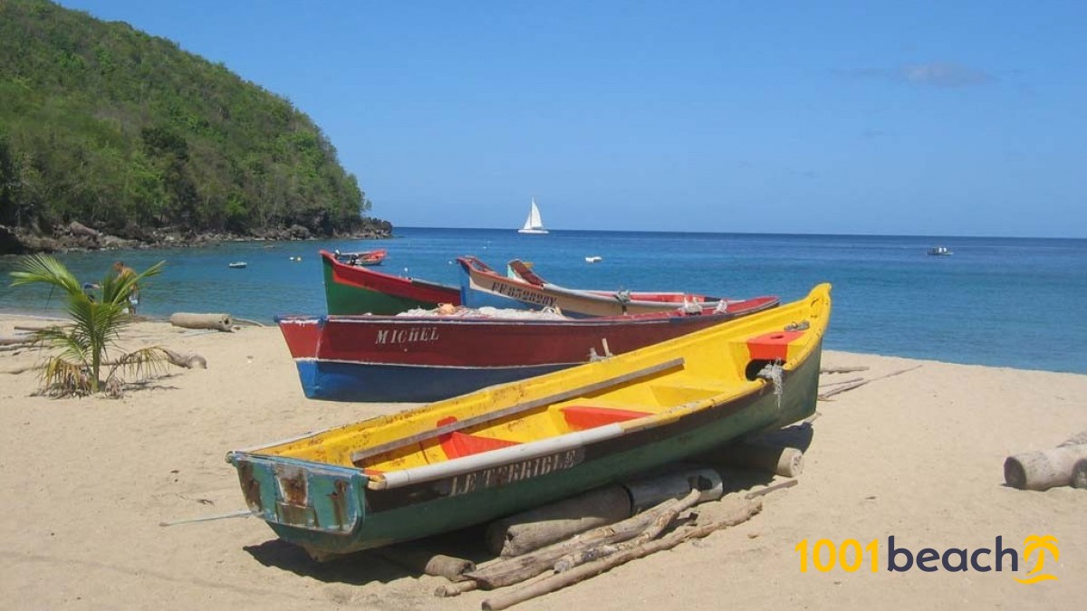 The Best Beaches In Martinique