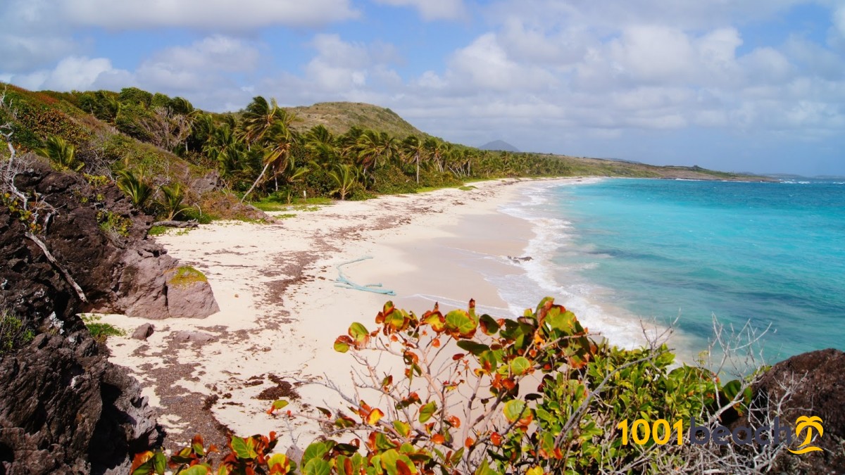 Anse Grosse Roche beach