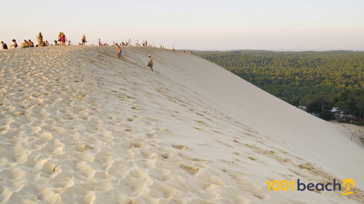 ピラの砂丘 ビーチ Dune Of Pilat Beach