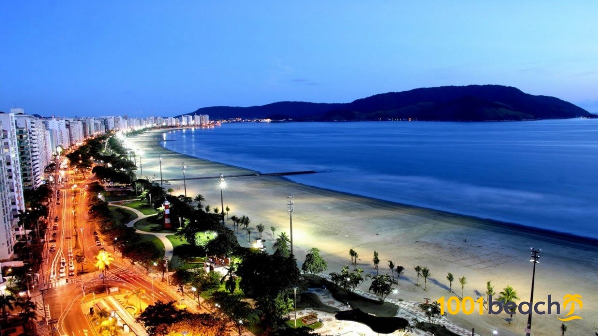 브라질 해변 의 천태 만상