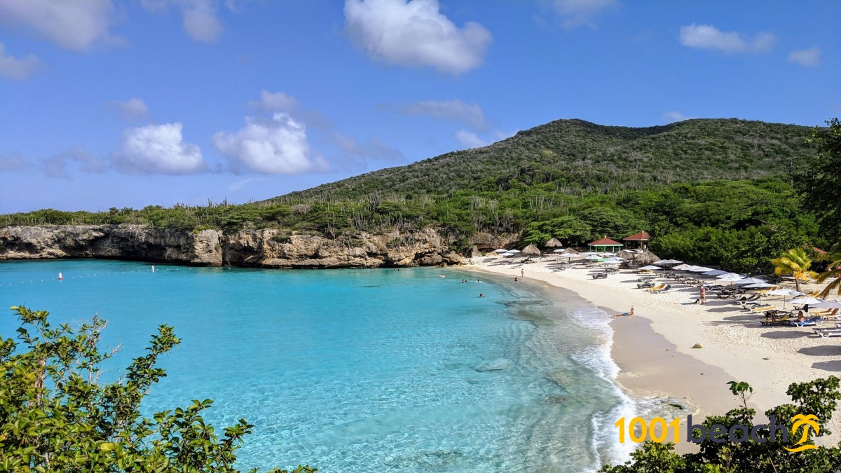 Island Curacao Beach бухта