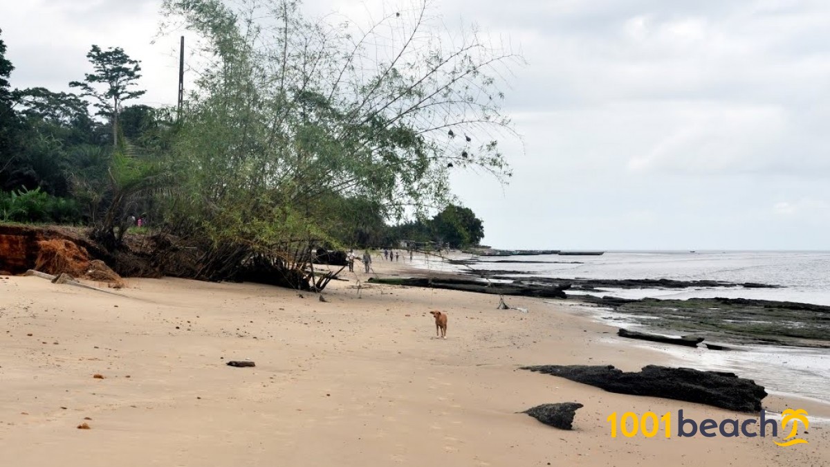 The Best Beaches In Gabon