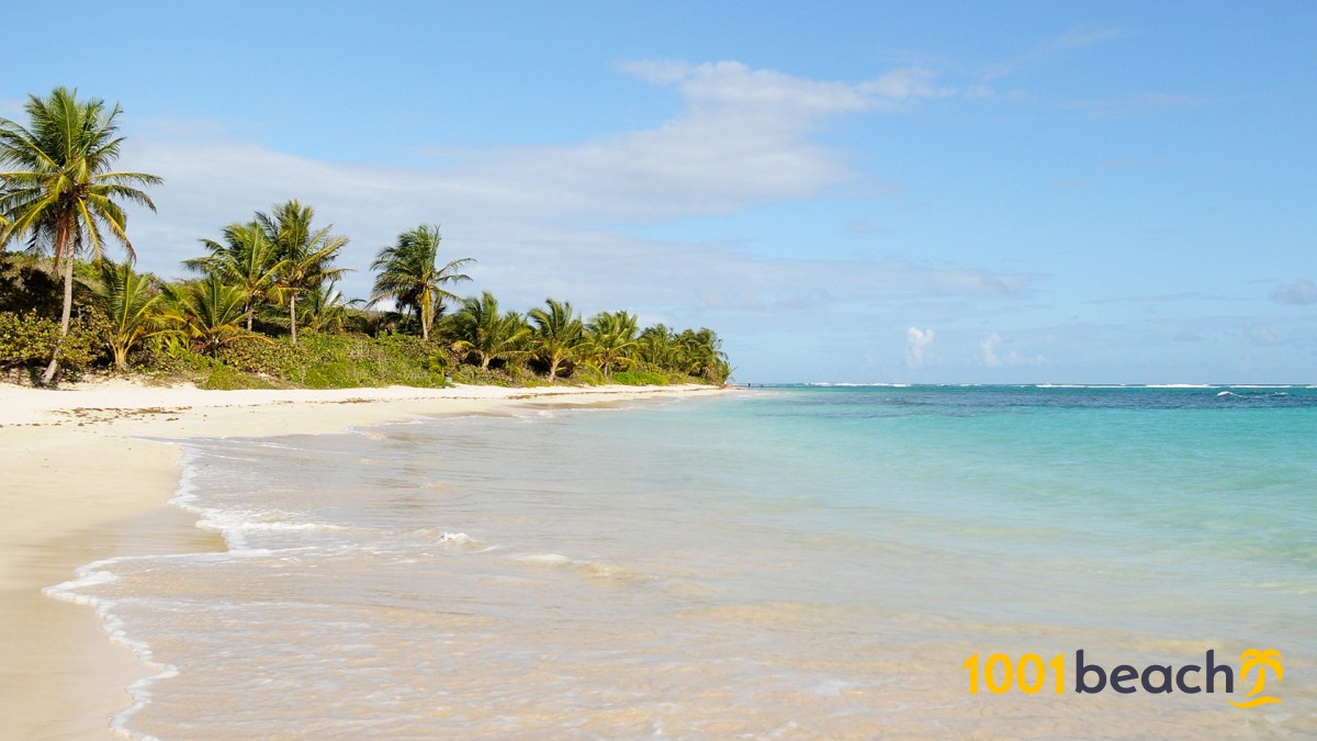 ボケロン ビーチ Boqueron Beach