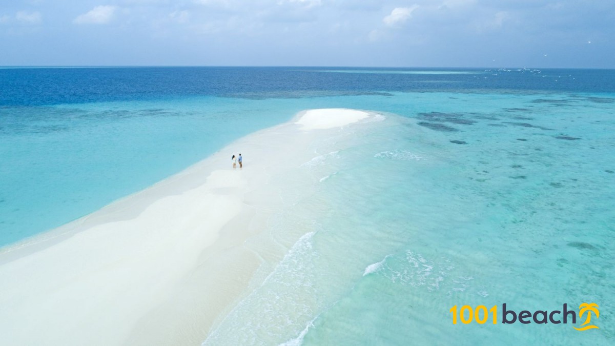 エンブドゥフィノール島 ビーチ Emboodhu Finolhu Island Beach