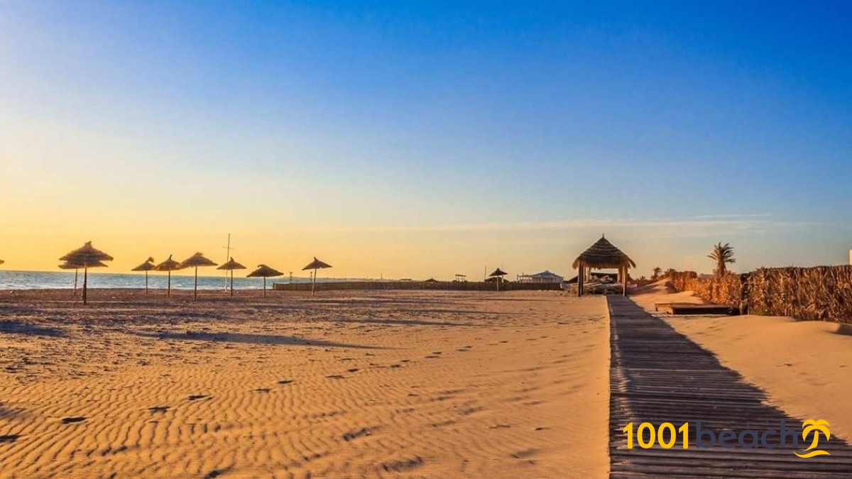 ジェルバ島 ビーチ Djerba Island Beach