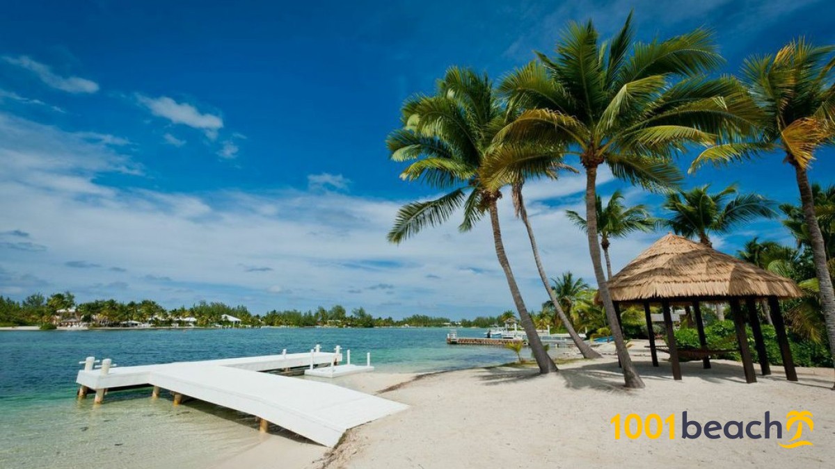 Cayman grand point rum islands beaches beach cunard stock dock cruise